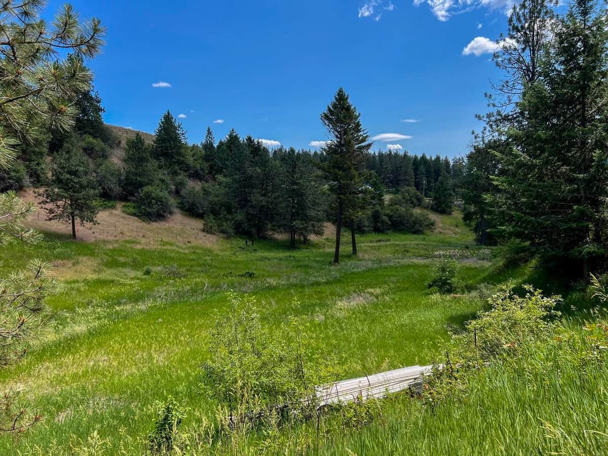 598 N 395 Hwy thumbnail 49