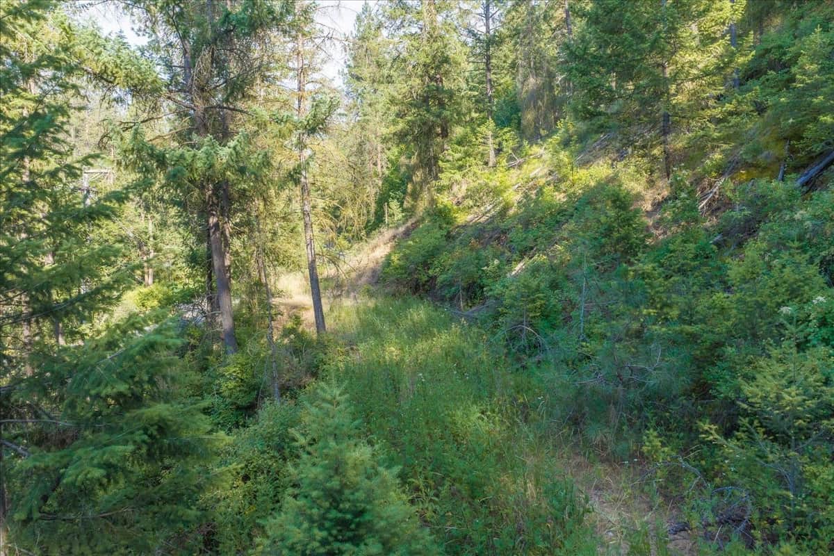 2126 E Leona Dr thumbnail 18