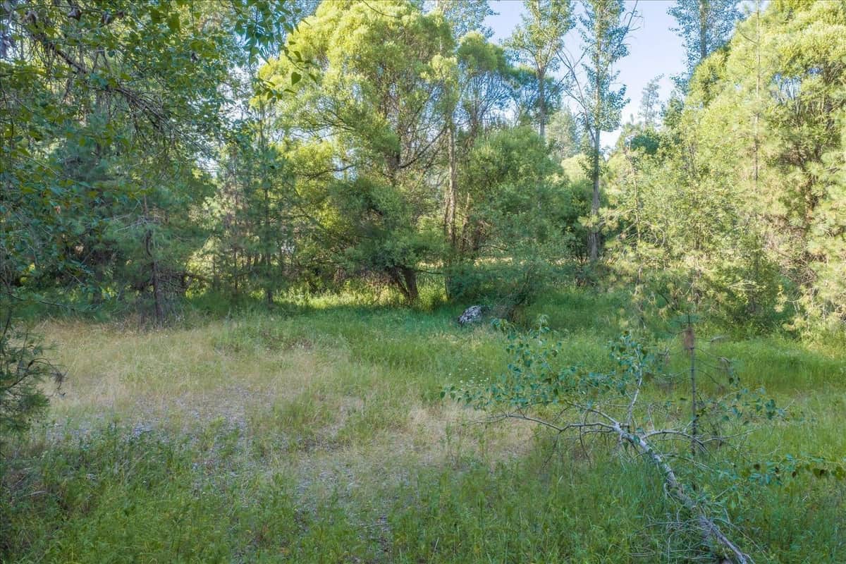 2126 E Leona Dr thumbnail 20