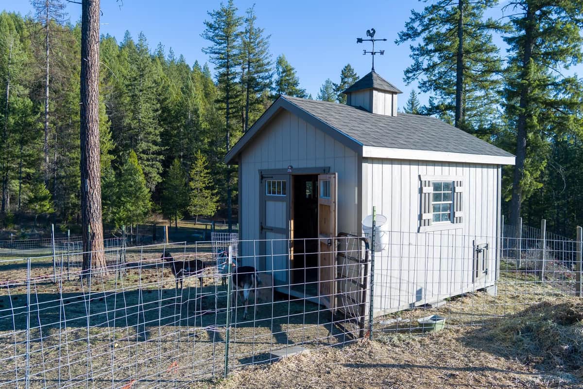 2559 United Copper Mine Rd thumbnail 28