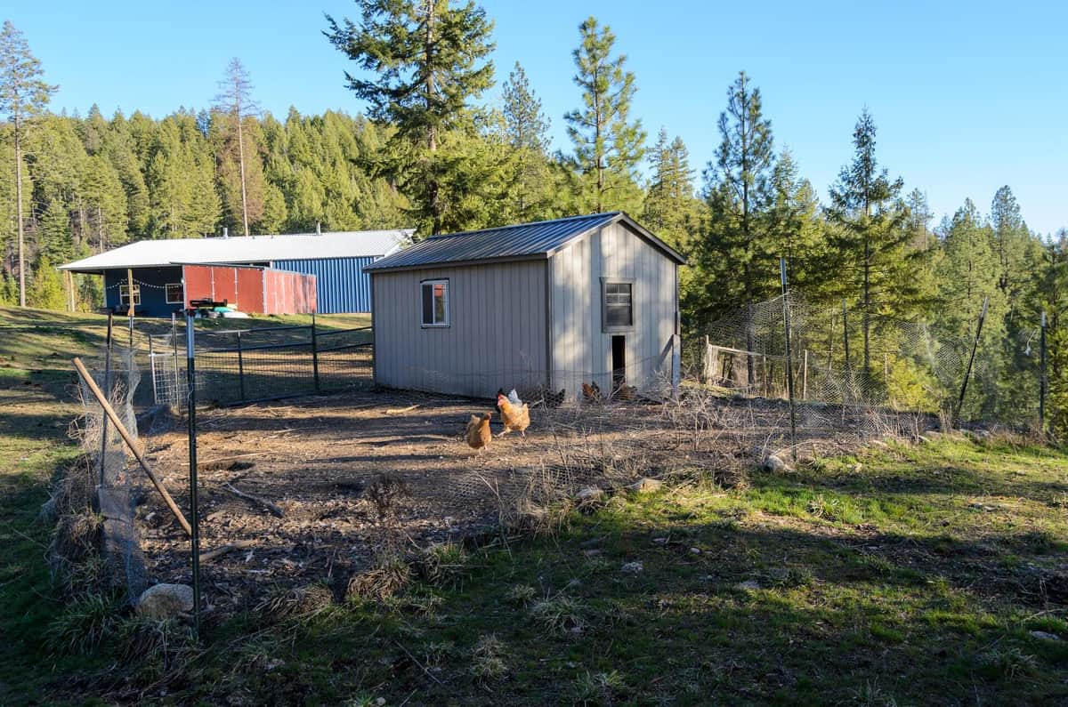 2559 United Copper Mine Rd thumbnail 30