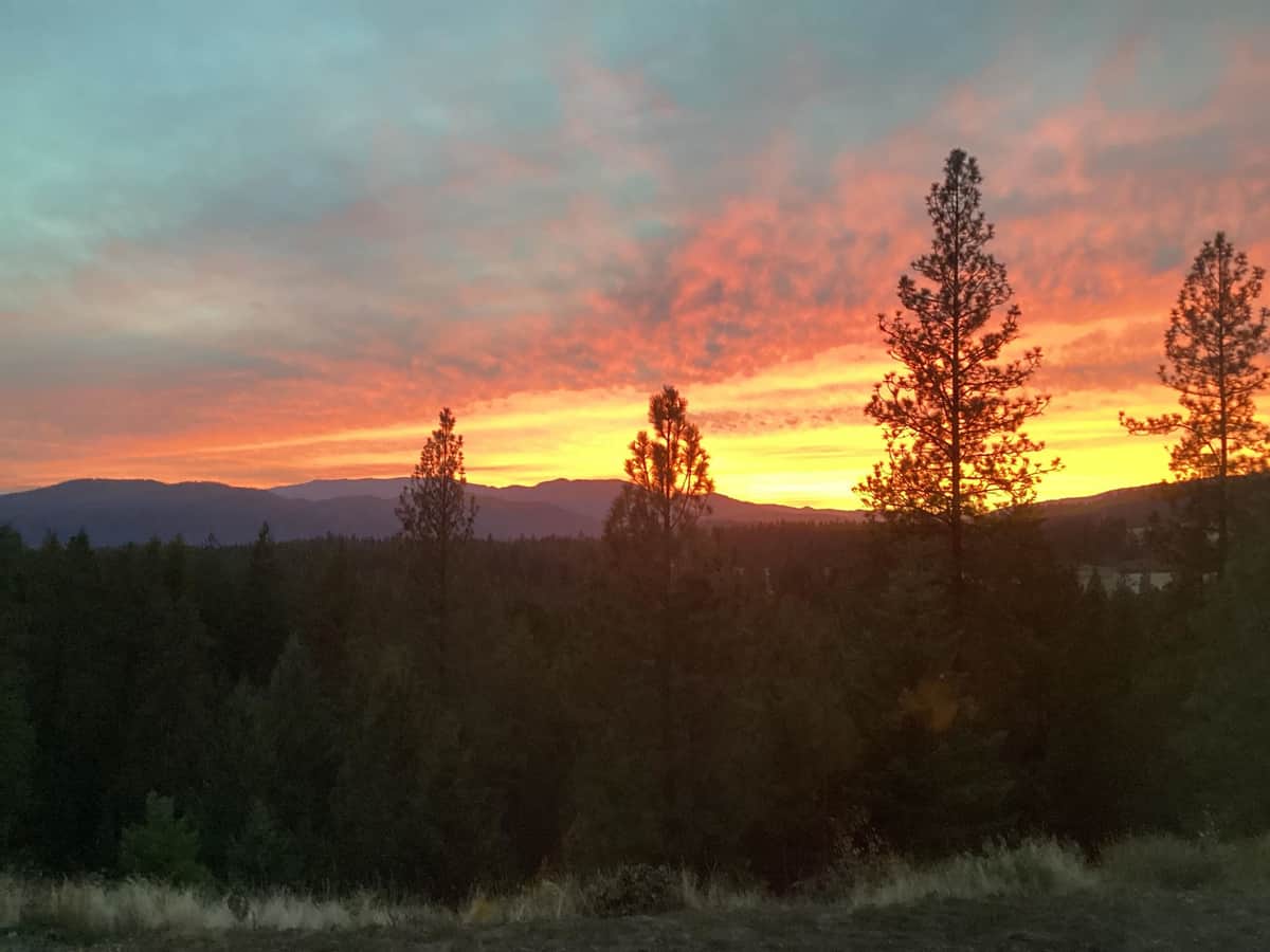 2559 United Copper Mine Rd thumbnail 33