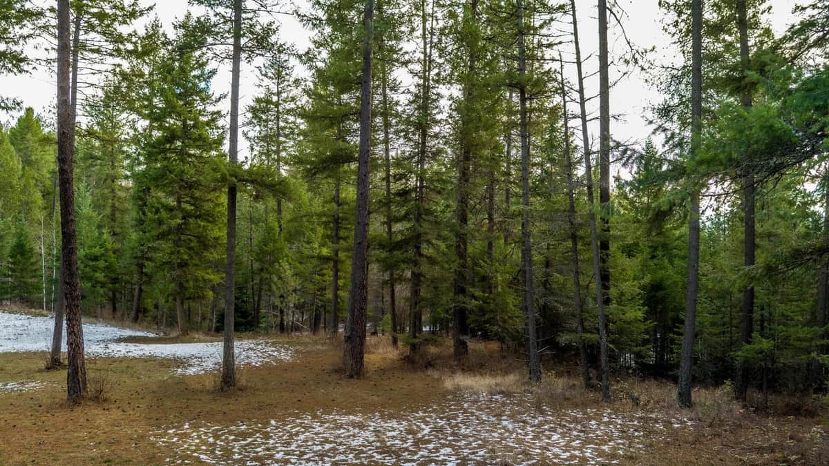 2559 United Copper Mine Rd thumbnail 6