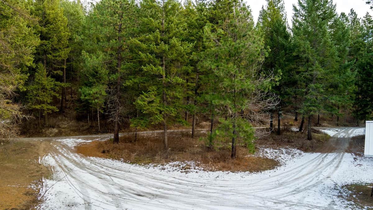 2559 United Copper Mine Rd thumbnail 10