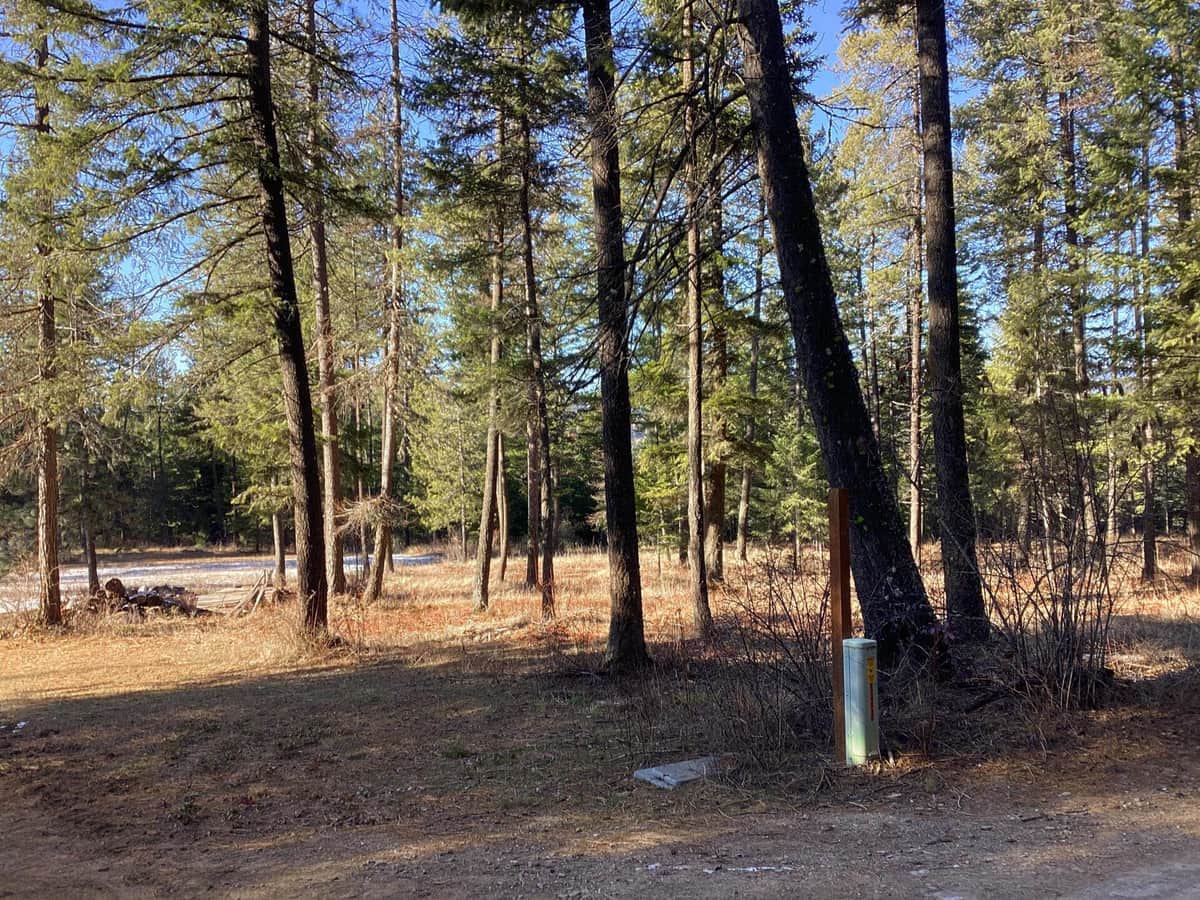 2559 United Copper Mine Rd thumbnail 11