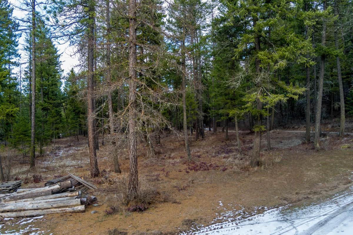 2559 United Copper Mine Rd thumbnail 22