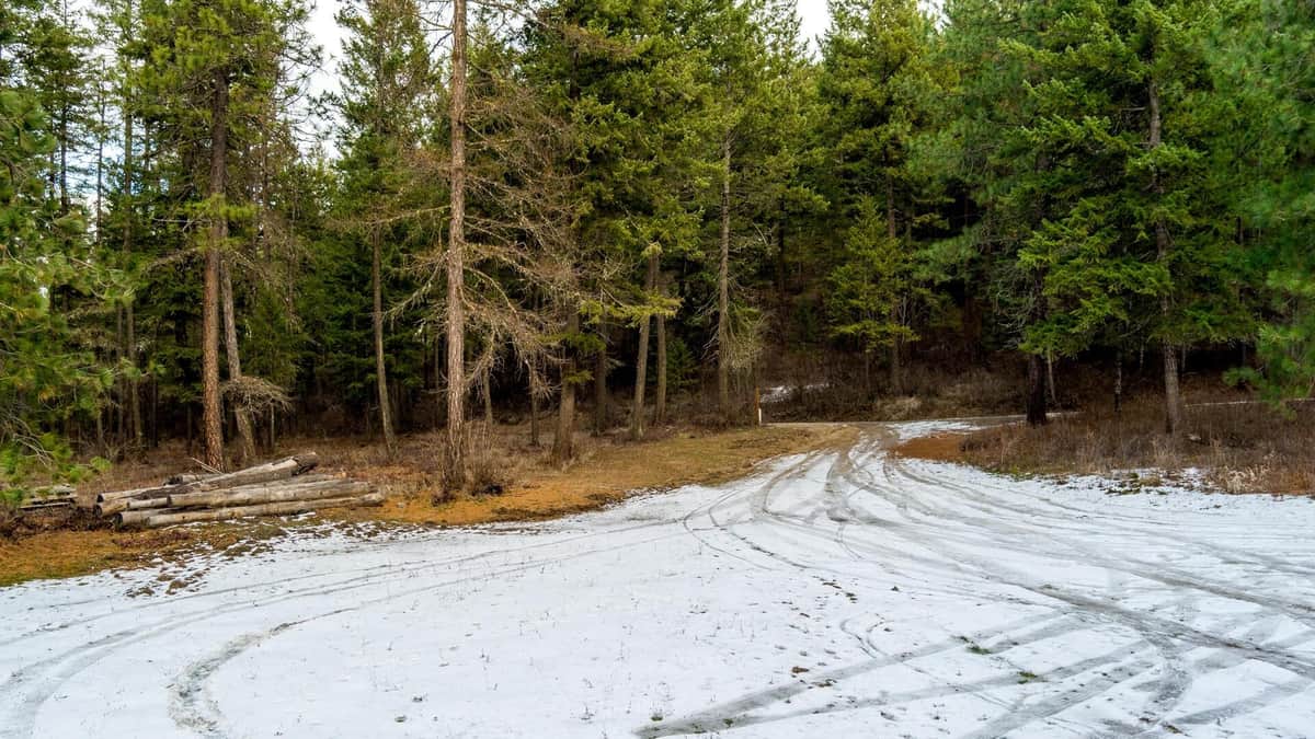 2559 United Copper Mine Rd thumbnail 23