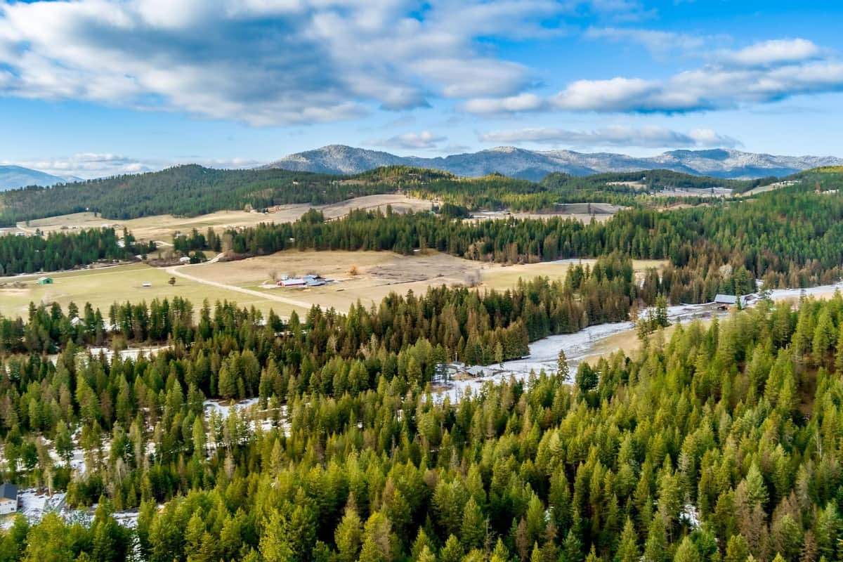 2559 United Copper Mine Rd thumbnail 26