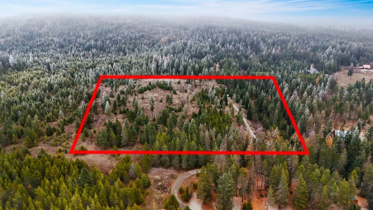 872 McGowen Rd thumbnail 3