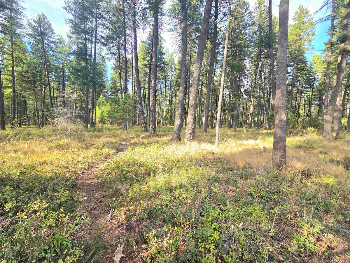 520 Quail Loop thumbnail 30