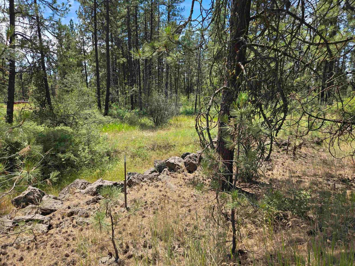 13711 W FARWELL Rd thumbnail 5