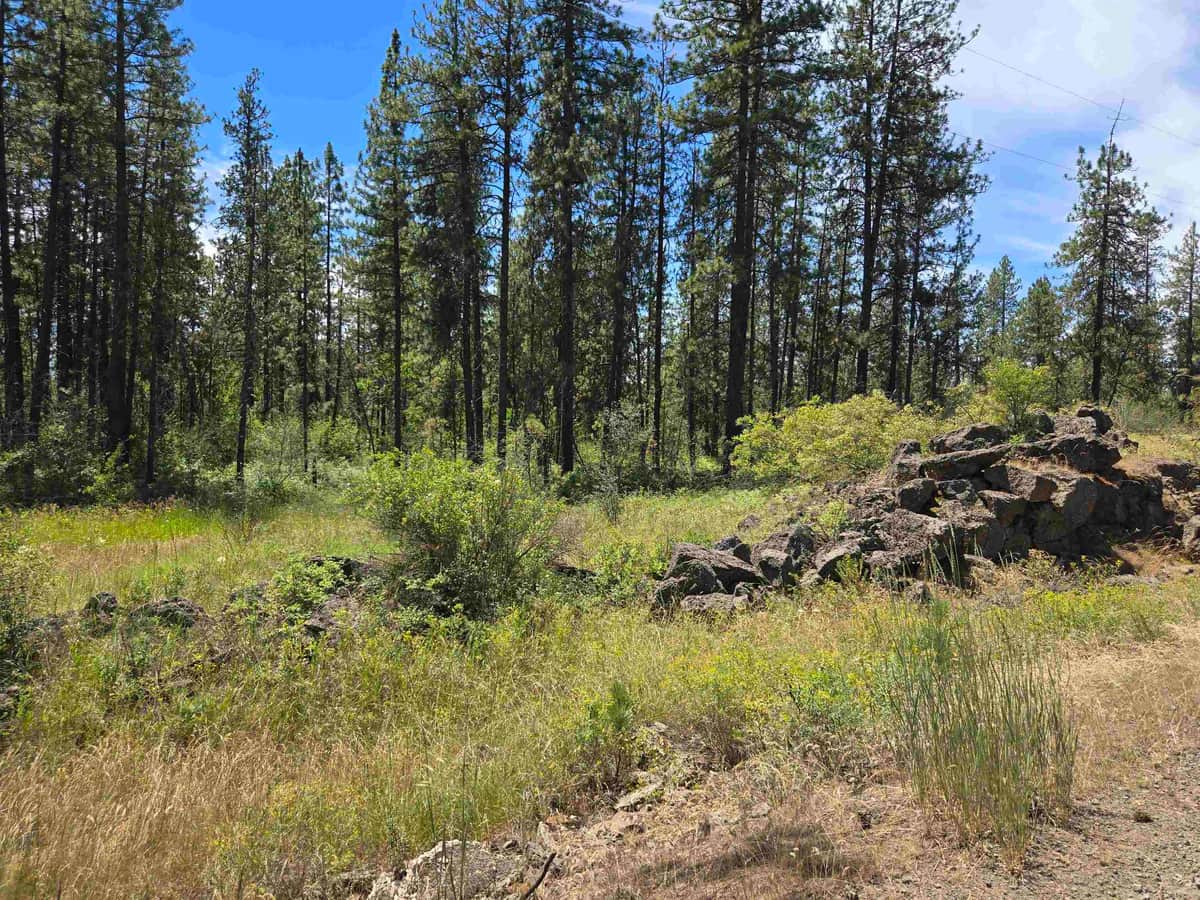 13711 W FARWELL Rd thumbnail 6