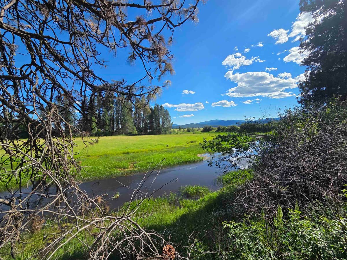 123 Cusick Meadows Rd thumbnail 3