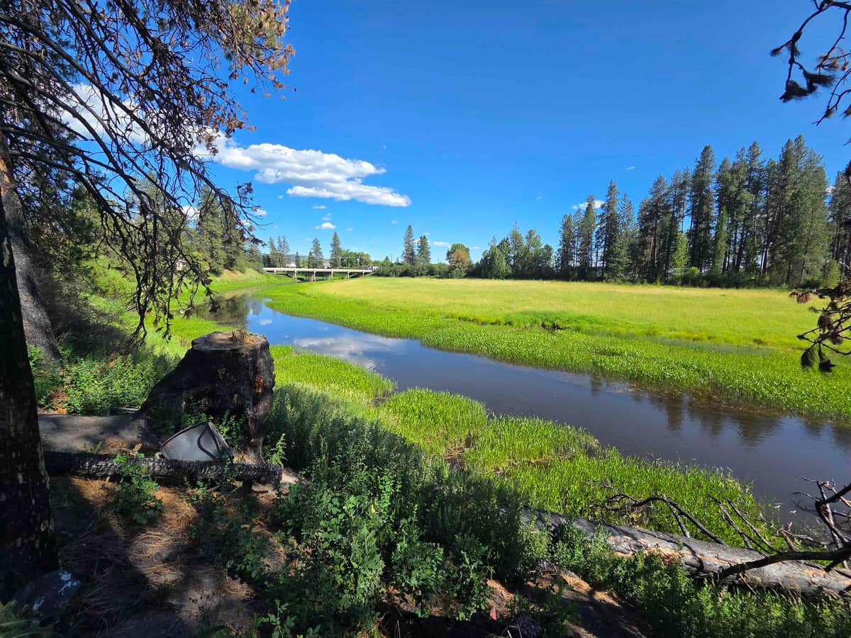 123 Cusick Meadows Rd thumbnail 2