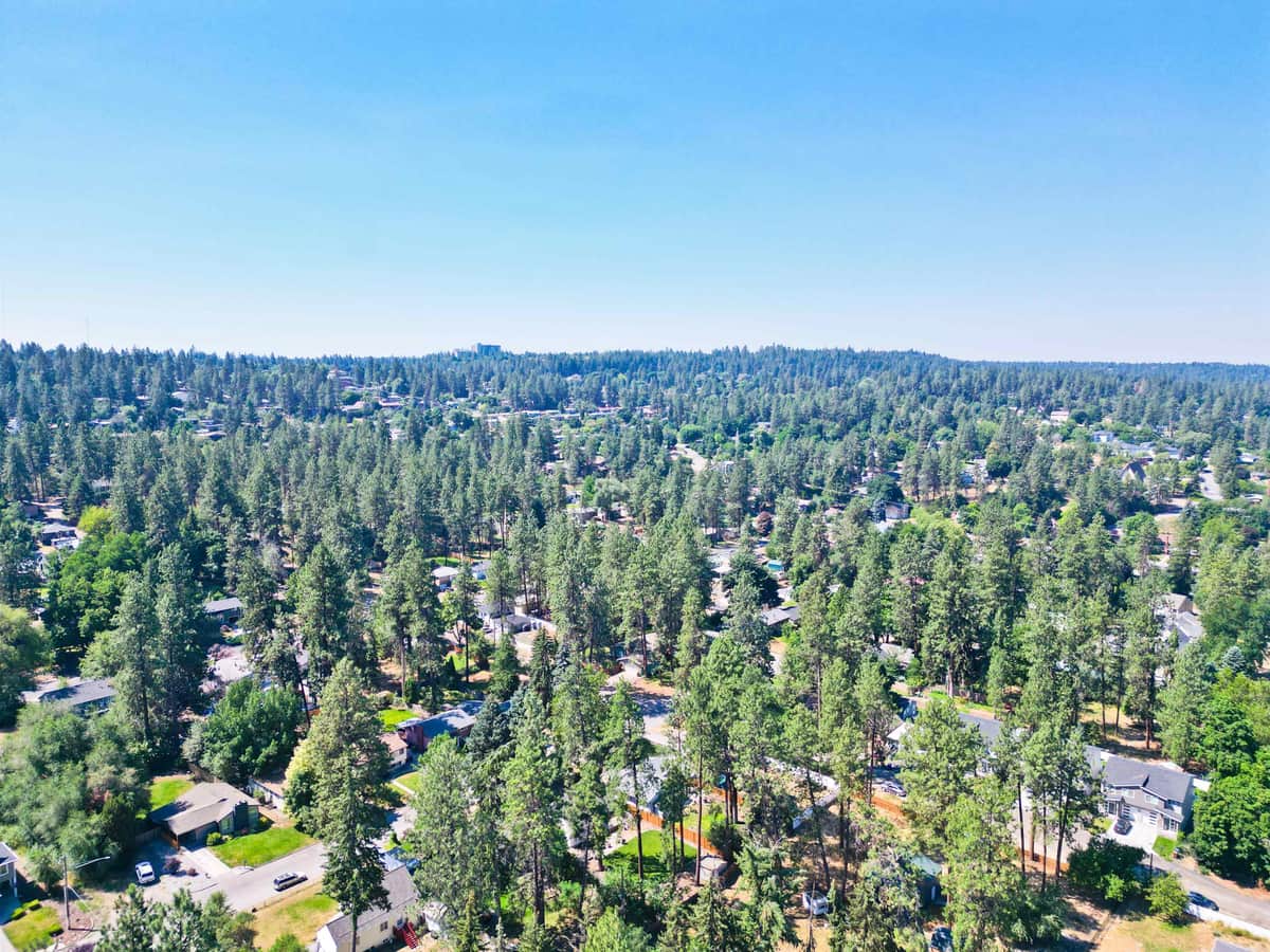 4009 E PRATT Ave thumbnail 18