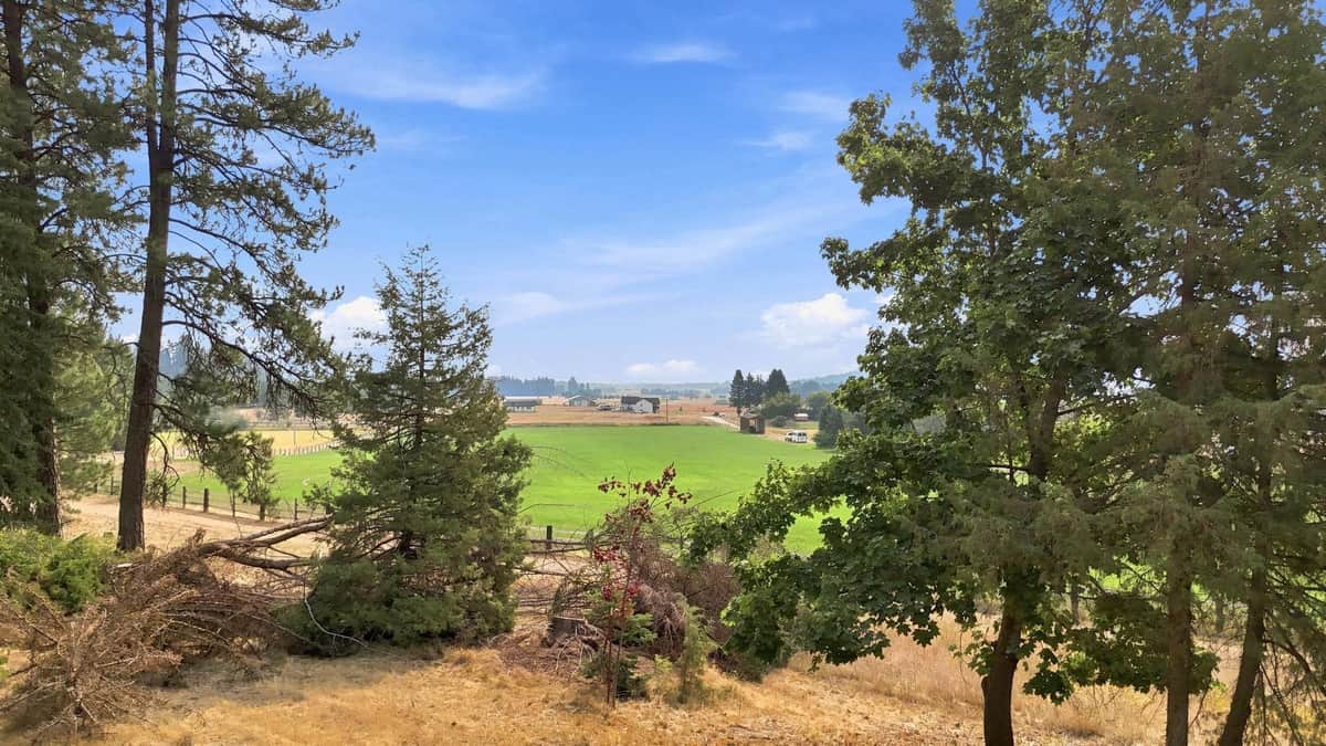 5082 S Swenson Rd thumbnail 30