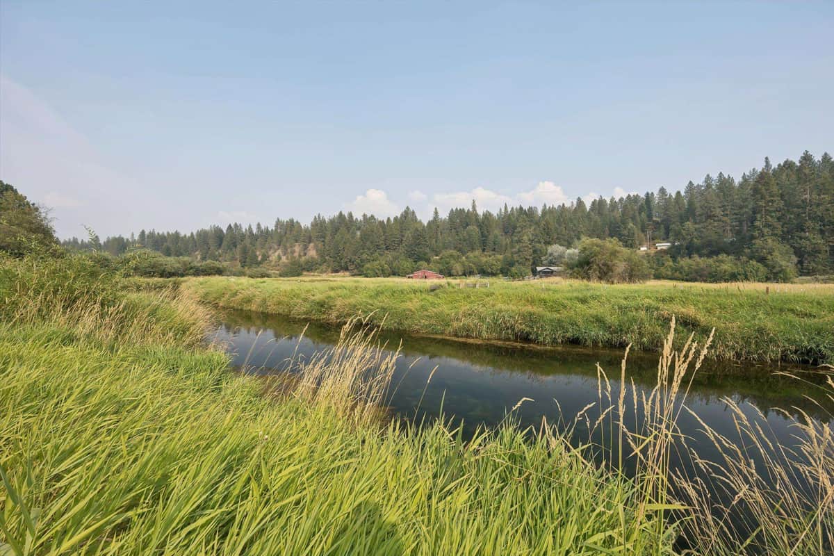 27722 N River Estates Dr thumbnail 34