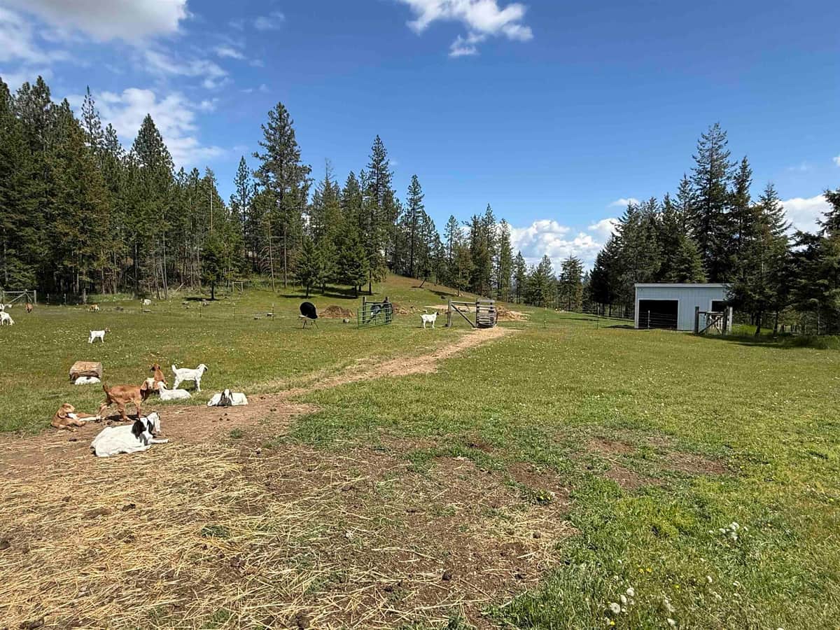 5418 S Wallbridge Rd thumbnail 40