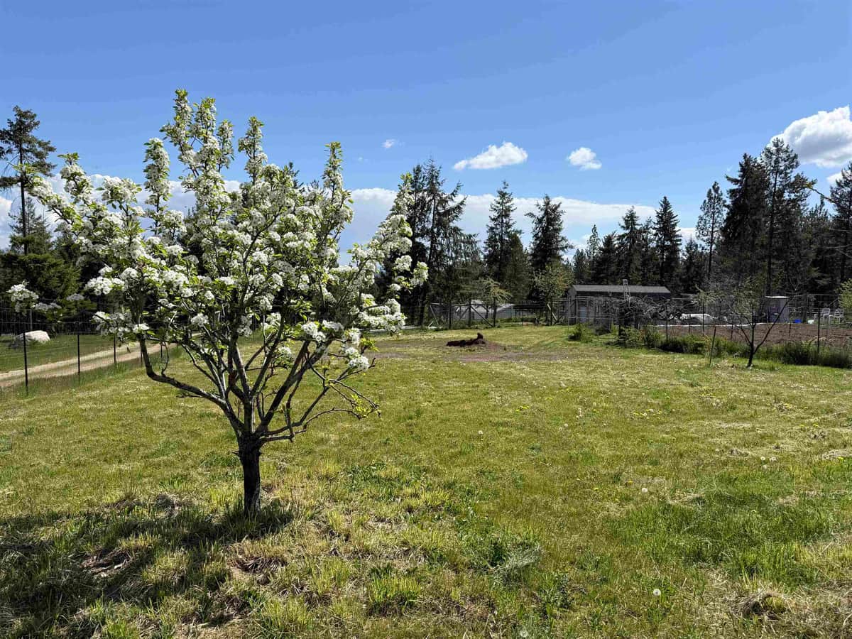 5418 S Wallbridge Rd thumbnail 48
