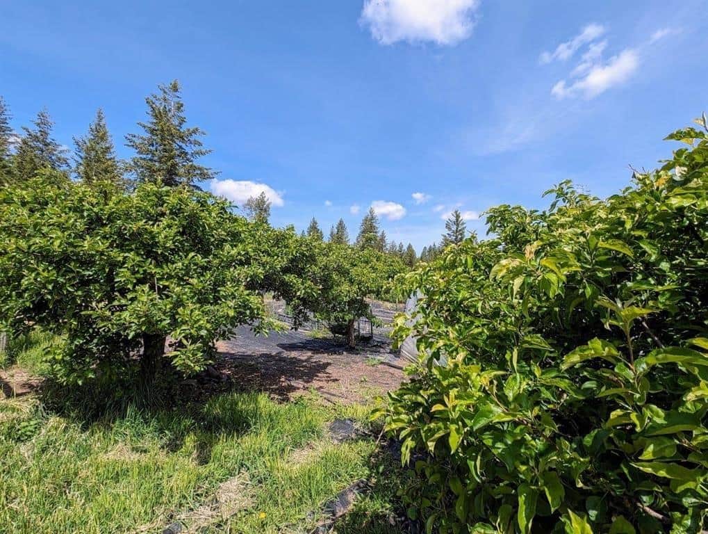 5418 S Wallbridge Rd thumbnail 47