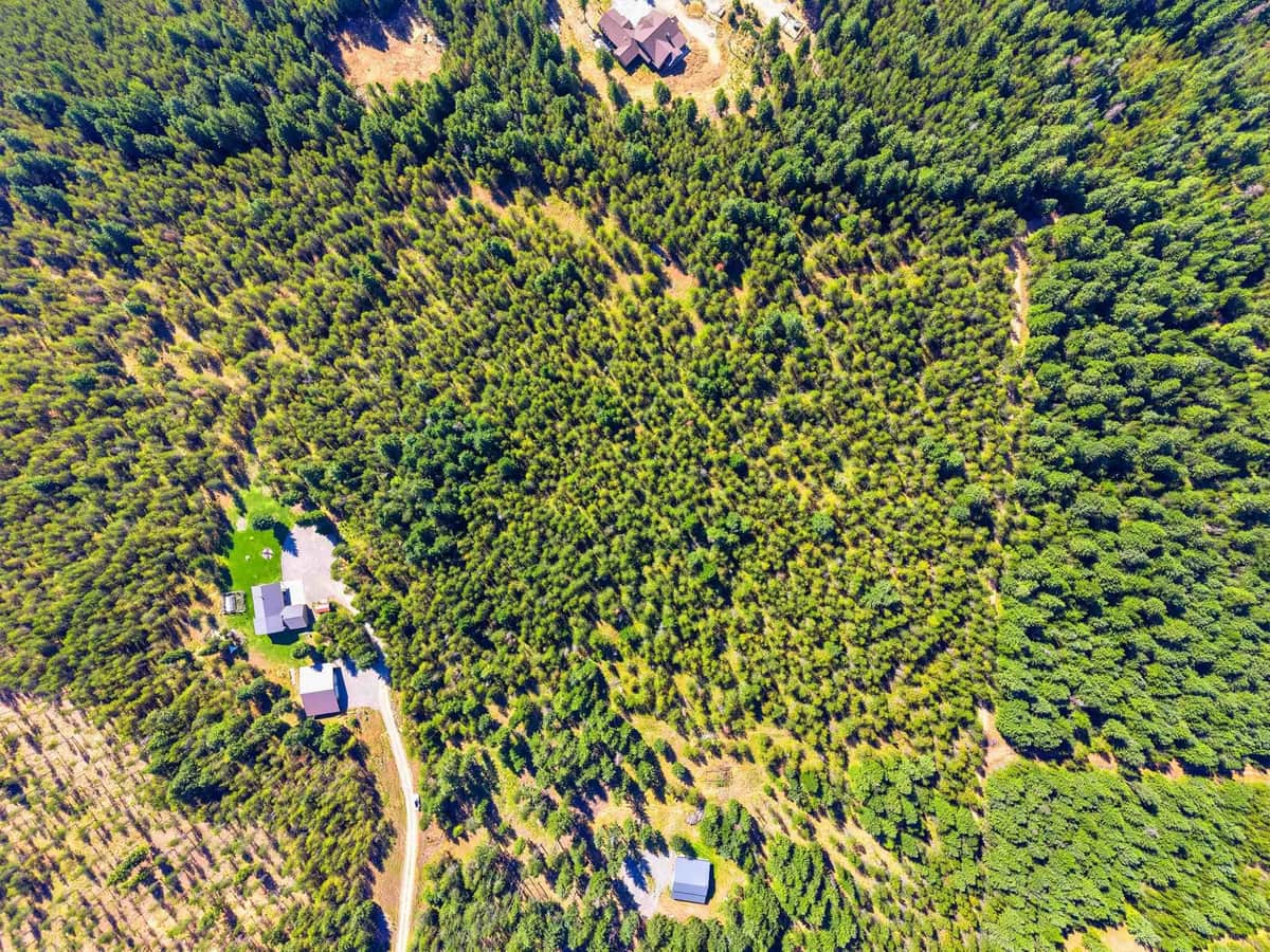 NKA N Red Fir Rd thumbnail 2