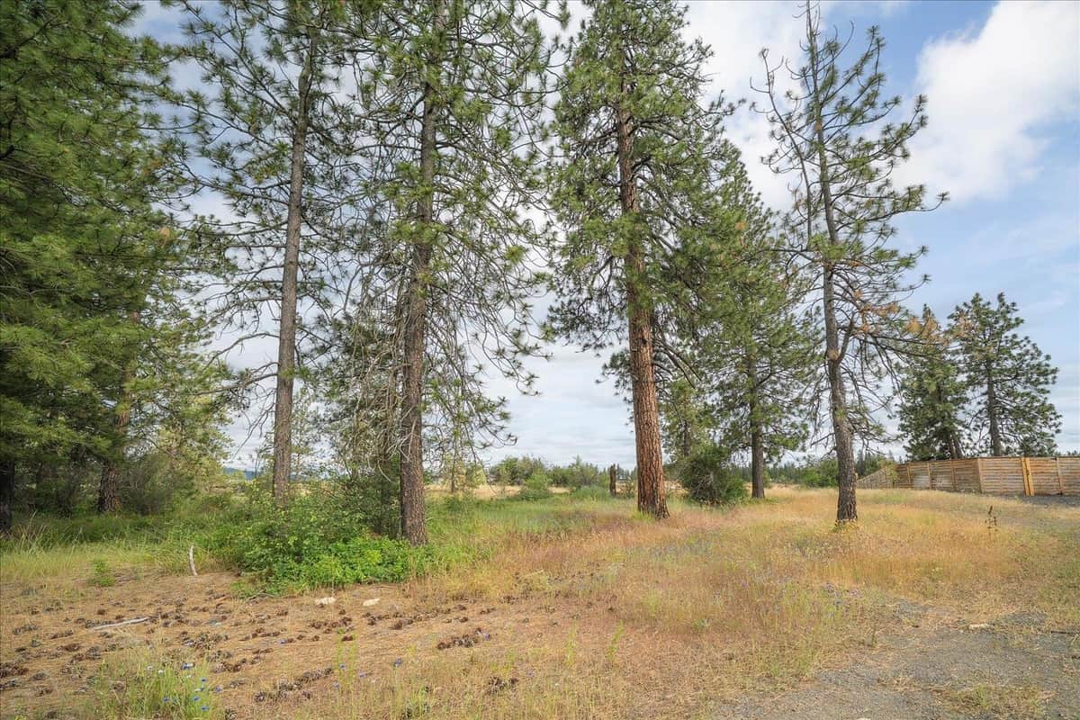 3819 W Cliffside Ln thumbnail 9