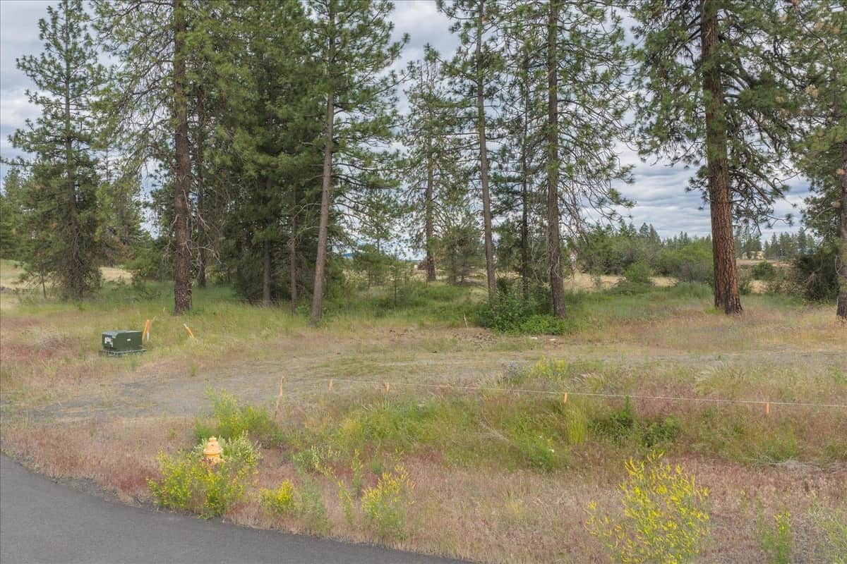 3819 W Cliffside Ln thumbnail 14