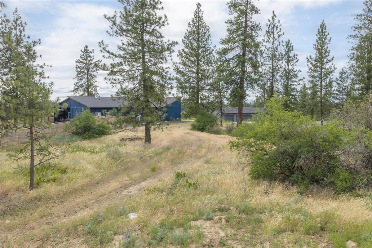 3819 W Cliffside Ln thumbnail 19