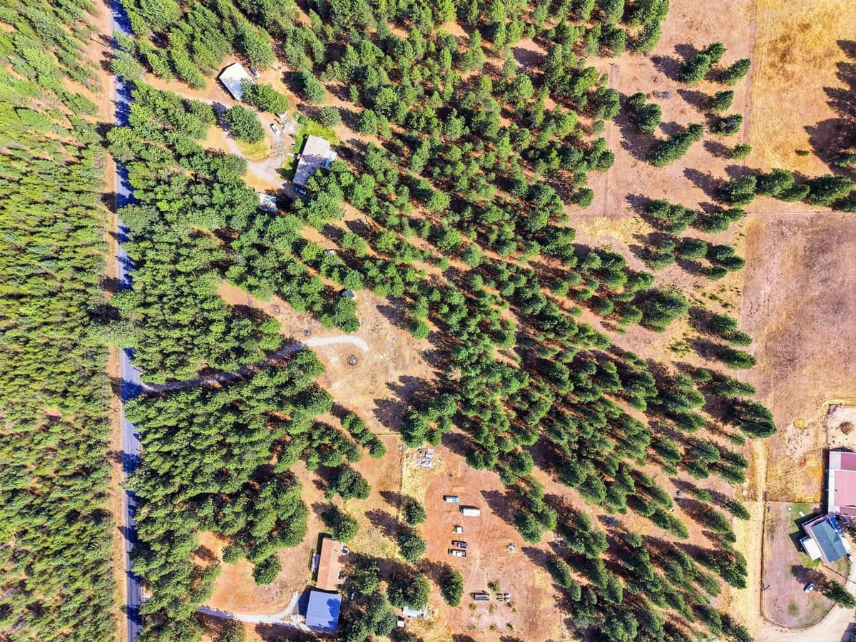 11612 E Laurel Rd thumbnail 22