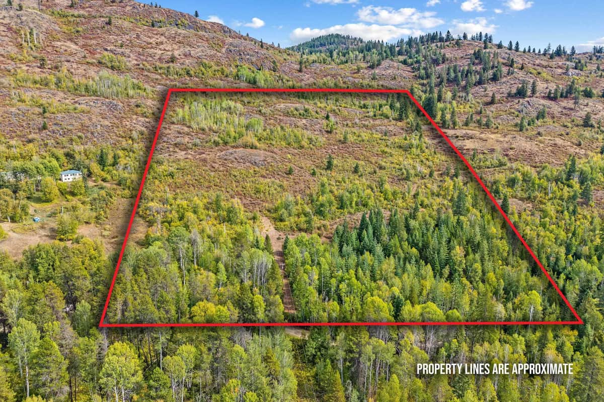 220 Catamount Ridge Ln thumbnail 5