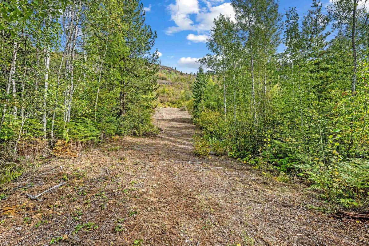 220 Catamount Ridge Ln thumbnail 8