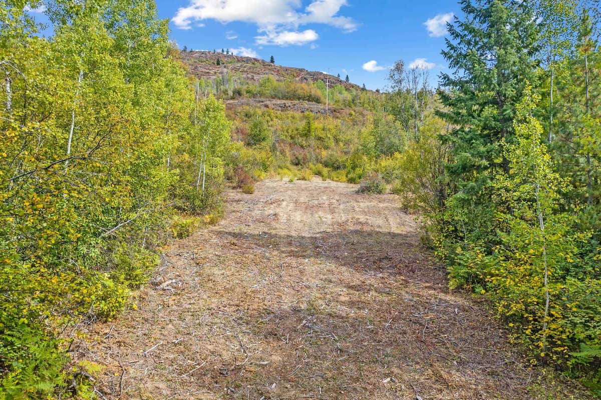 220 Catamount Ridge Ln thumbnail 10