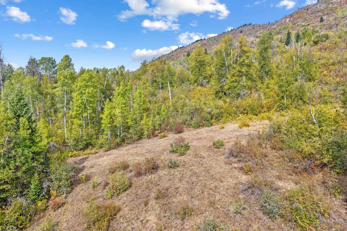 220 Catamount Ridge Ln thumbnail 12