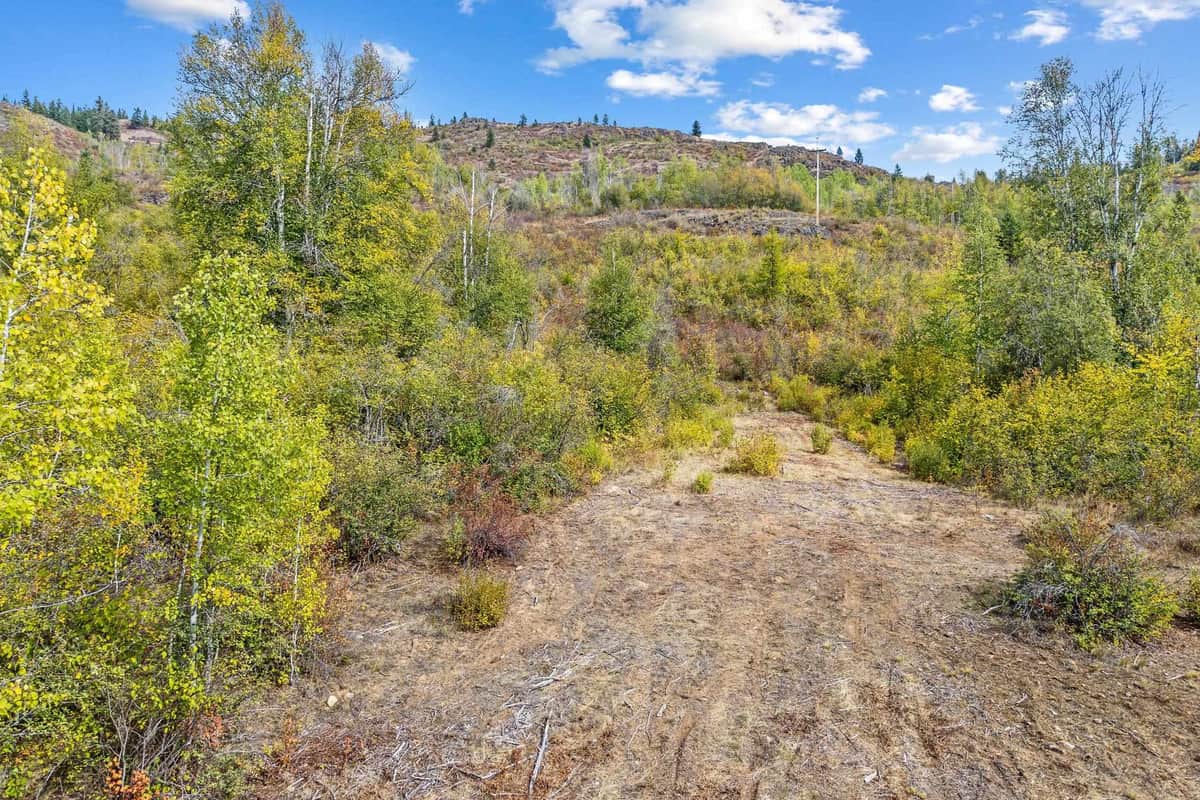 220 Catamount Ridge Ln thumbnail 13