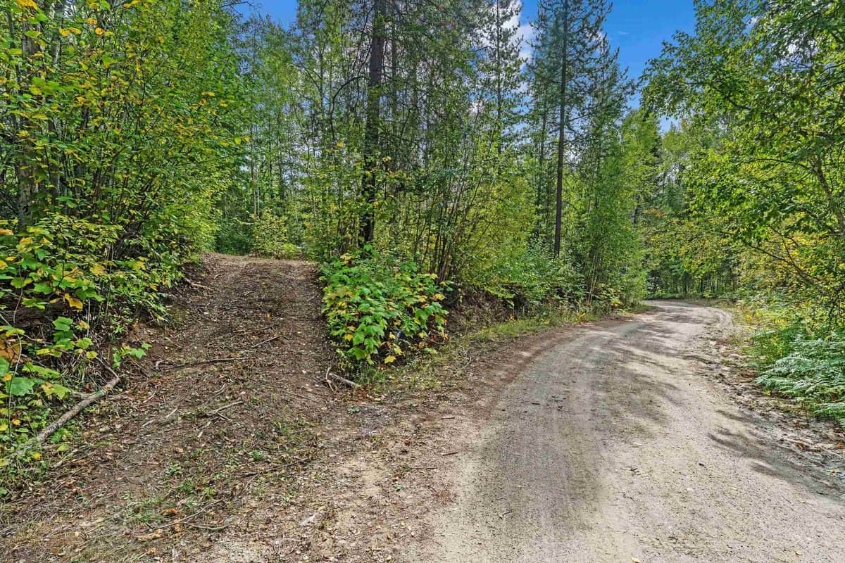 220 Catamount Ridge Ln thumbnail 15