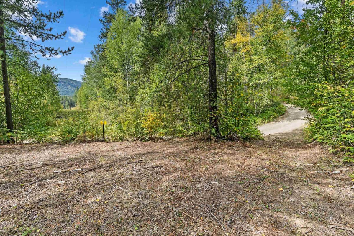220 Catamount Ridge Ln thumbnail 16