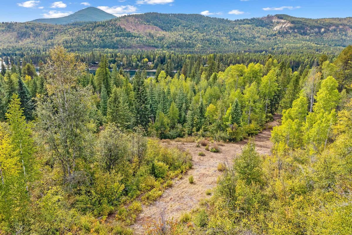 220 Catamount Ridge Ln thumbnail 19