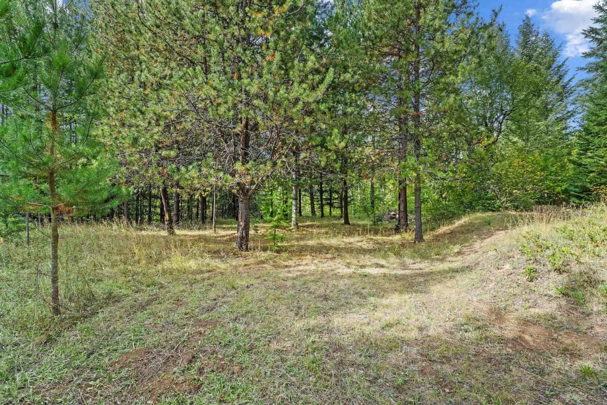 220 Catamount Ridge Ln thumbnail 20
