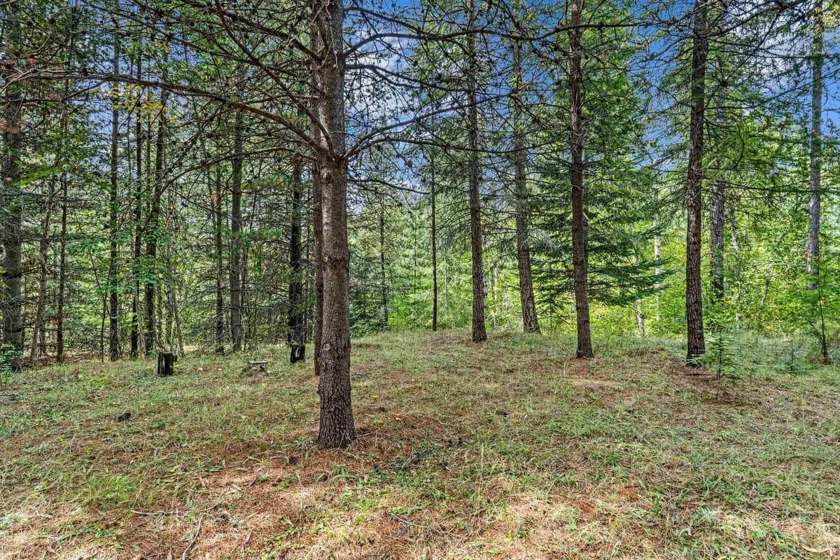 220 Catamount Ridge Ln thumbnail 21