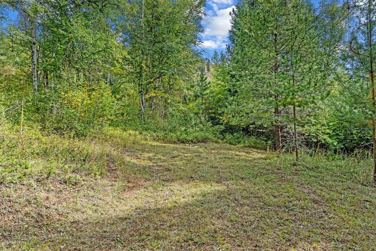 220 Catamount Ridge Ln thumbnail 22
