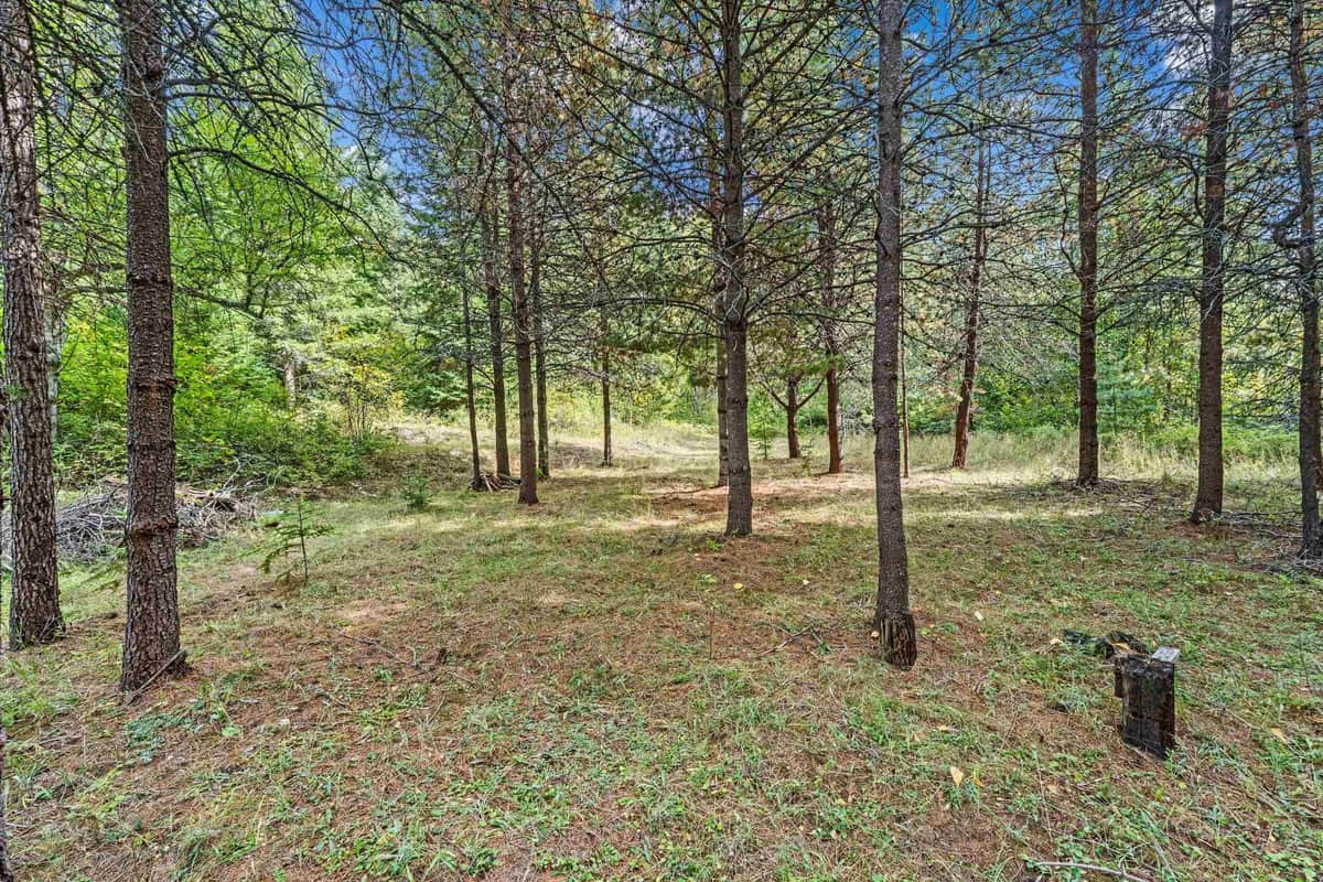 220 Catamount Ridge Ln thumbnail 23
