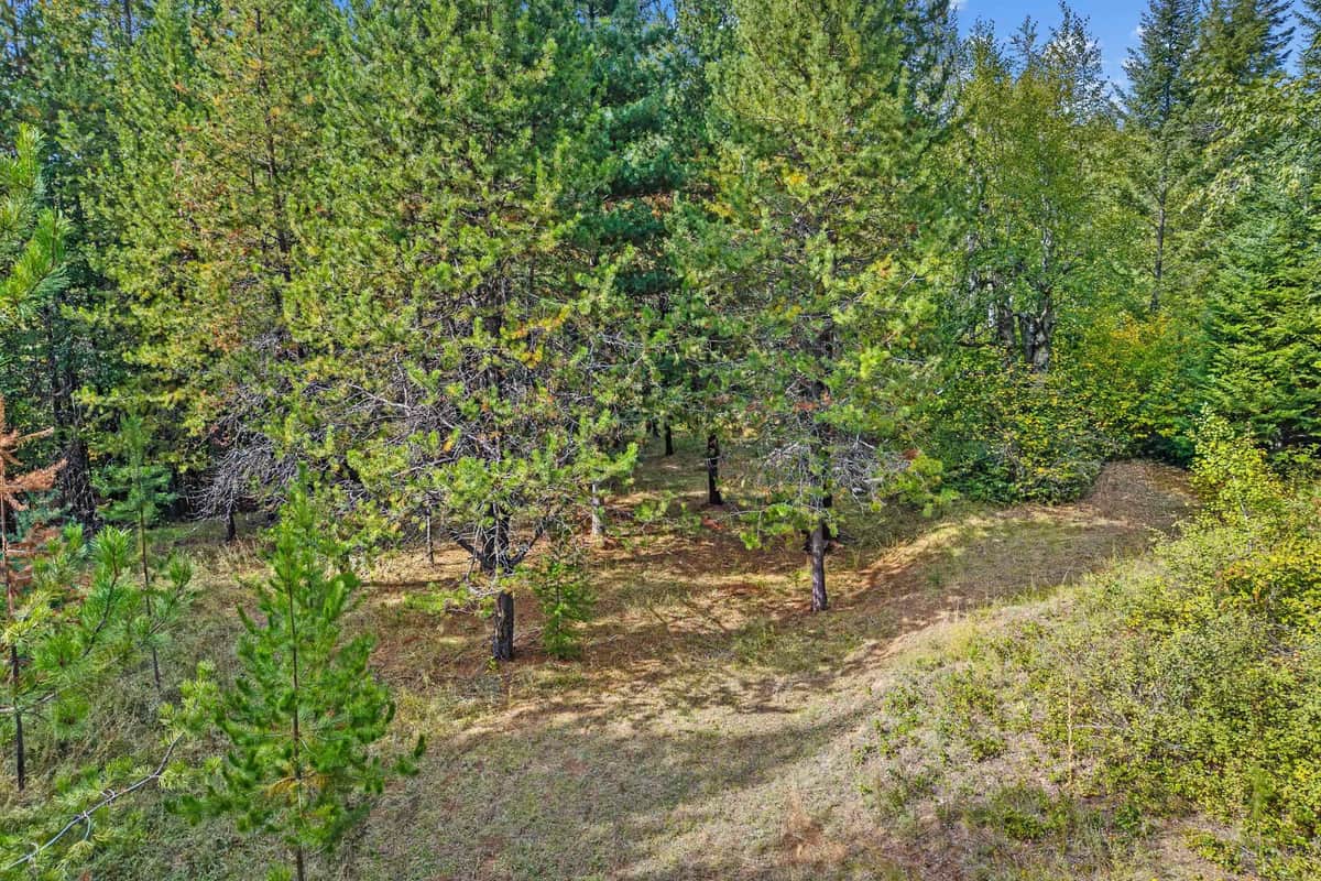 220 Catamount Ridge Ln thumbnail 39