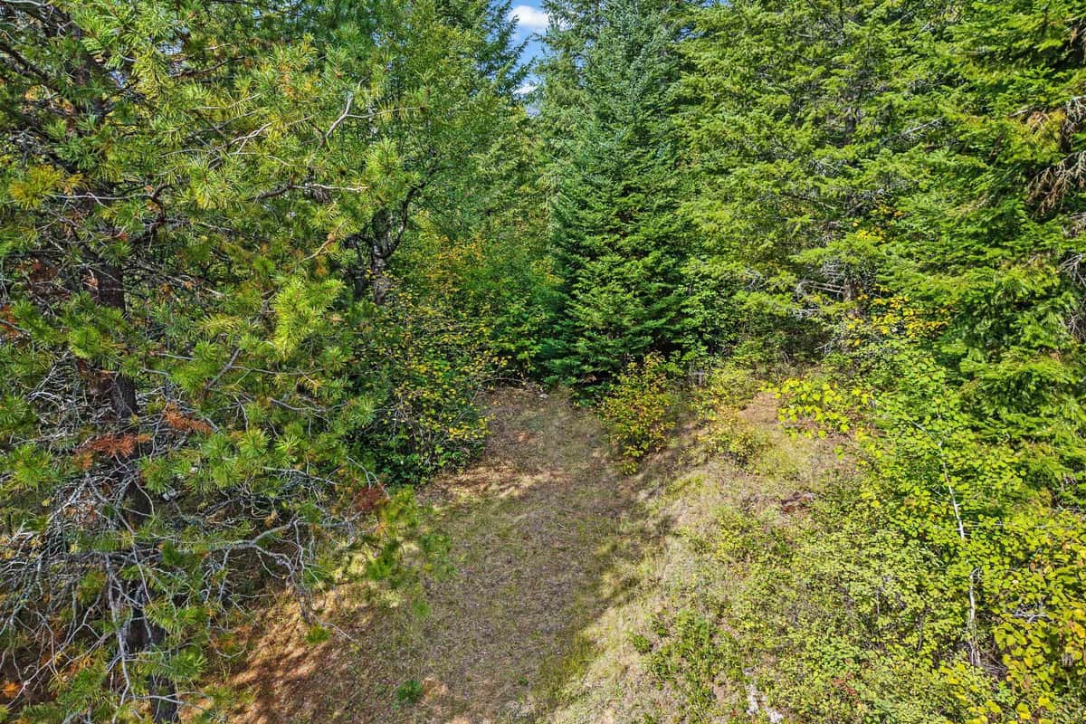 220 Catamount Ridge Ln thumbnail 40