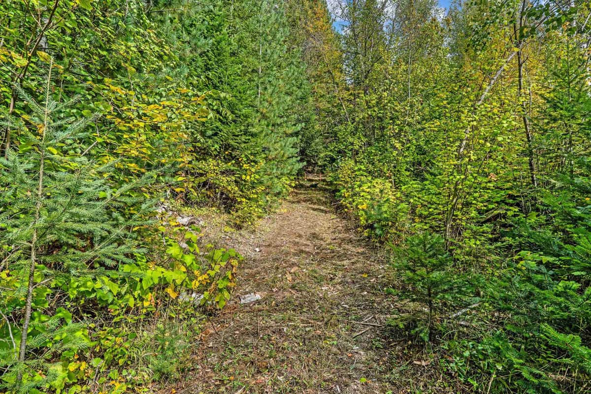 220 Catamount Ridge Ln thumbnail 43