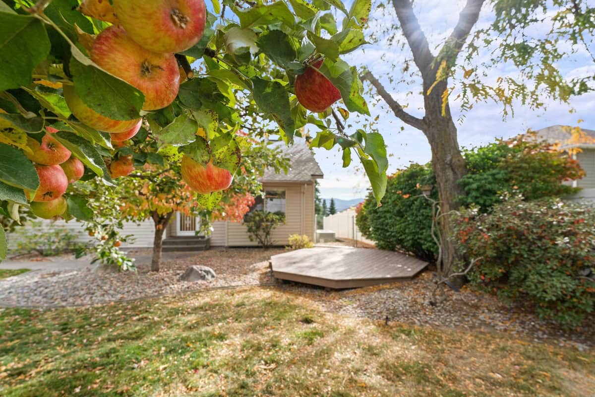 5715 N Vista Grande Dr thumbnail 37