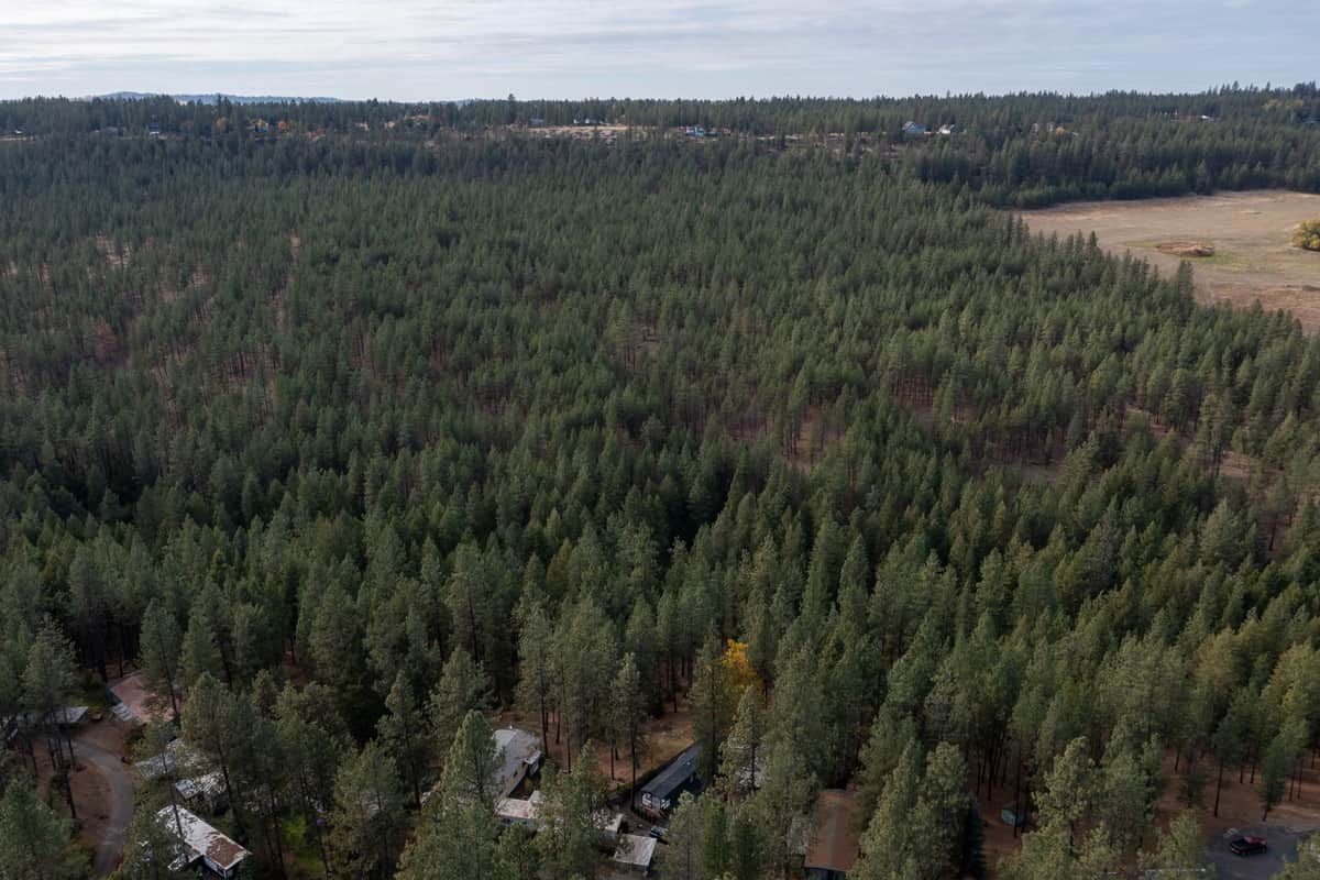 8900 S Mullen Hill, #41 Rd thumbnail 25