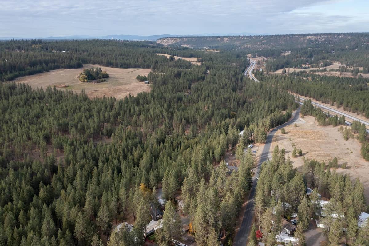 8900 S Mullen Hill, #41 Rd thumbnail 27