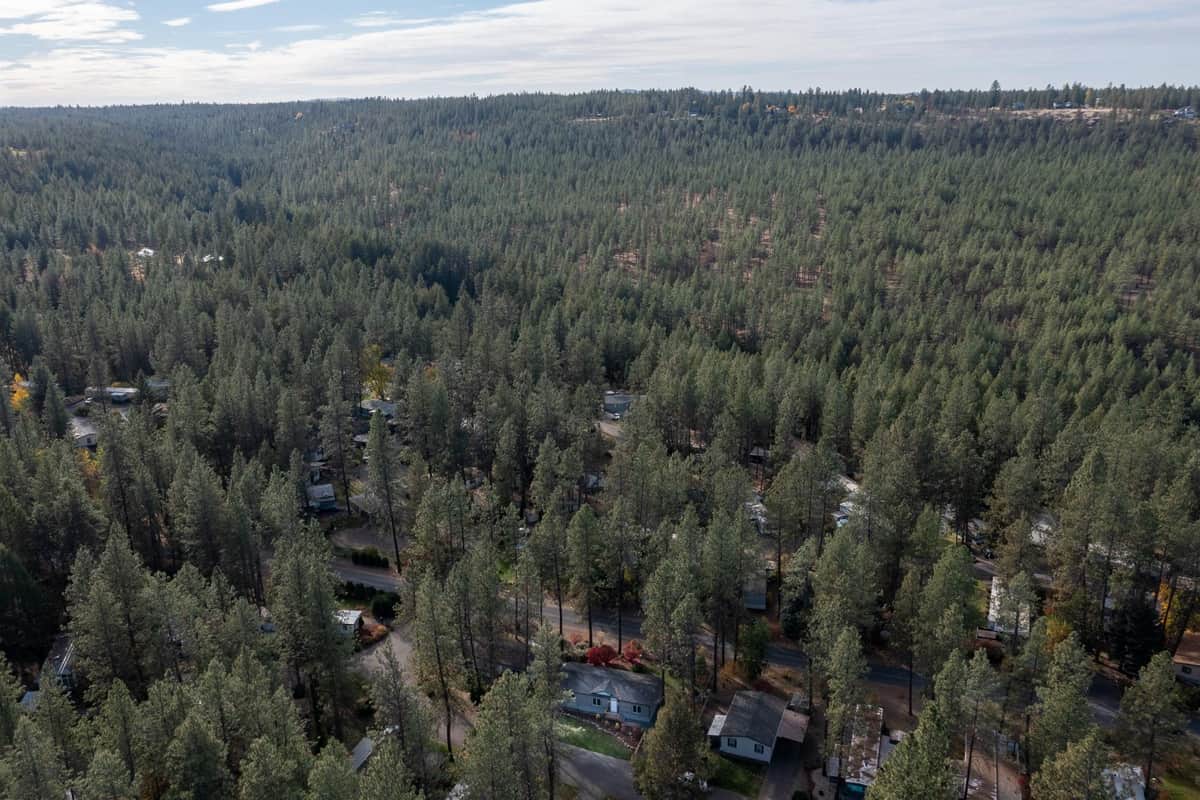 8900 S Mullen Hill, #53 Rd thumbnail 34
