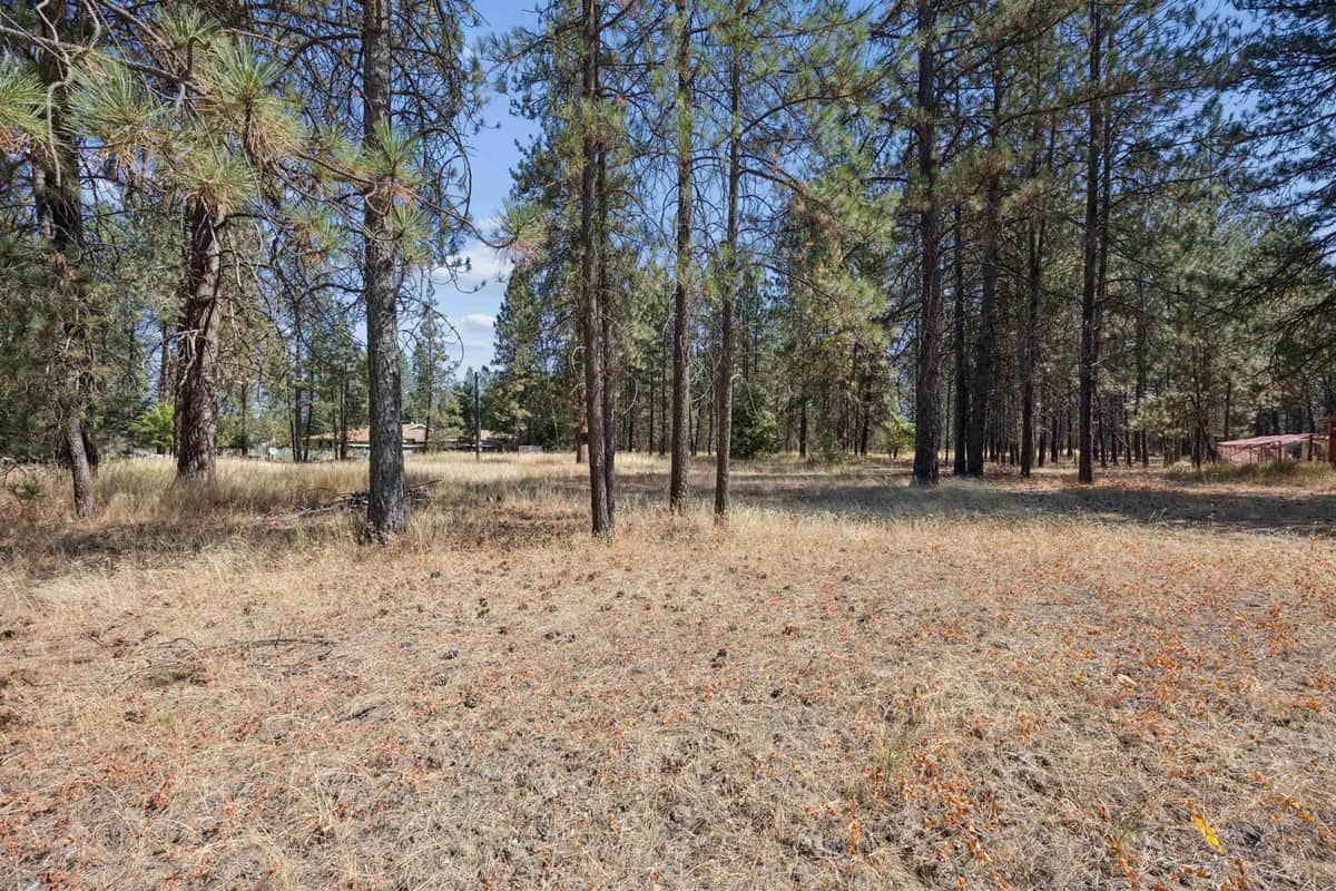 21324 N Myrtle Rd thumbnail 7