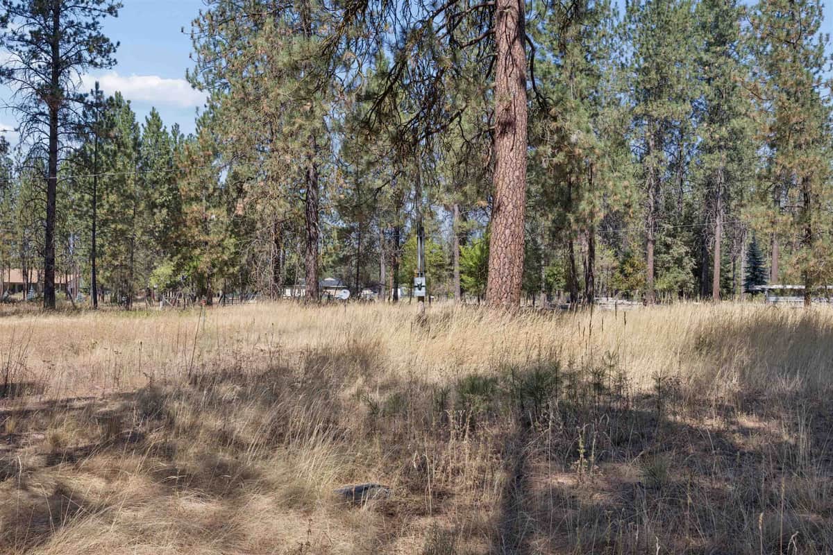 21324 N Myrtle Rd thumbnail 17